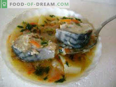 Värskelt külmutatud makrelli supp, retseptid fotodega. Kuidas süüa makrelli suppi