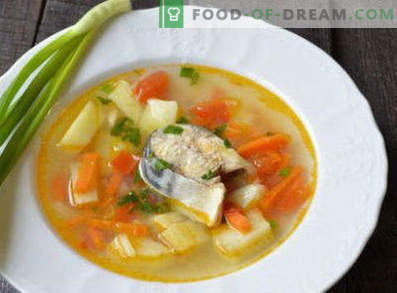 Värskelt külmutatud makrelli supp, retseptid fotodega. Kuidas süüa makrelli suppi