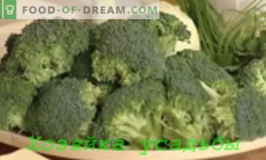 Brokkoli kapsasöögid