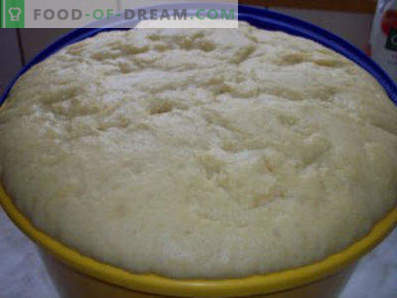 Teig für Pasteten mit saurer Milch, Hefe, für gebratene und gebackene Pasteten