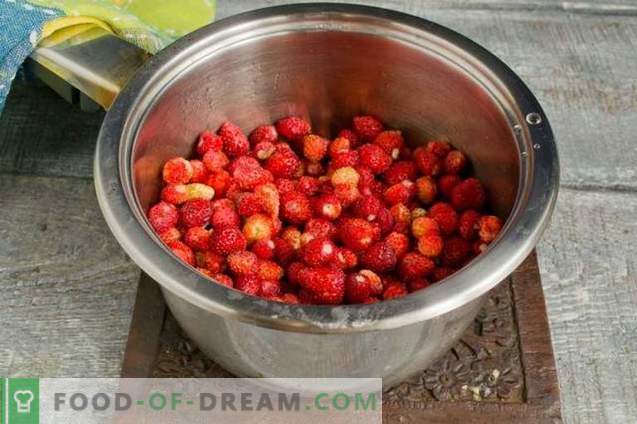 Paks maasika- või maasikamust