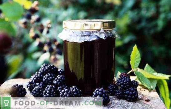 Blackberry moos - valmistame ette purki vitamiine! Retseptid, mis sisaldavad erinevaid murakahjustusi gurmaanidele ja nende tervisele