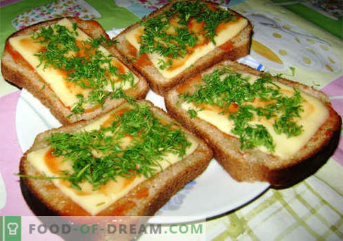 Cheese sandwiches are the best recipes. How to quickly and tasty cook sandwiches with cheese.