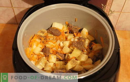 Kartul ja liha aeglane pliit: puhkus! Retseptid hautatud kartulite ja lihaga aeglases pliidis: lihtne ja keeruline
