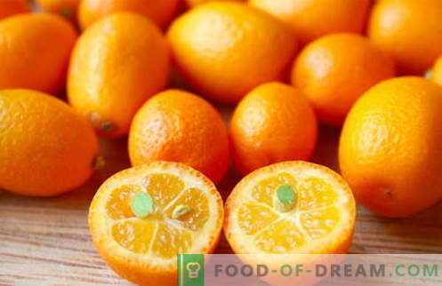 Kumquat - kasulikud omadused ja kasutamine toiduvalmistamisel. Retseptid kumkvatiga.