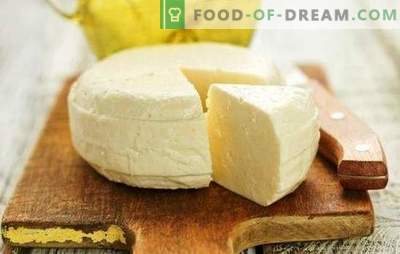 Selbst gemachter Suluguni - ein Rezept von Herzen für Liebhaber der Käseherstellung. Wie macht man zu Hause Suluguni-Käse?