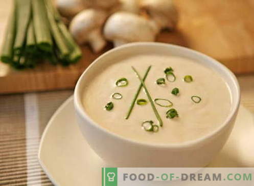 Cream supp - parimad retseptid. Kuidas korralikult ja küpsetada koore suppi.