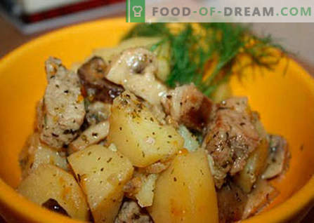 Kartulid liha ja seentega on parimad retseptid. Kuidas õigesti ja maitsvalt küpsetada kartuleid liha ja seentega.