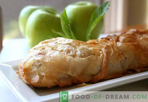 Õunakast - parimad retseptid. Kuidas õrnalt ja maitsvalt küpsetada õunakultuuri.