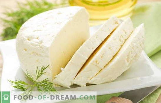 Parimad retseptid kodus valmistatud lehmapiimajuustule. Lehmapiim: juustu valmistamise põhireeglid