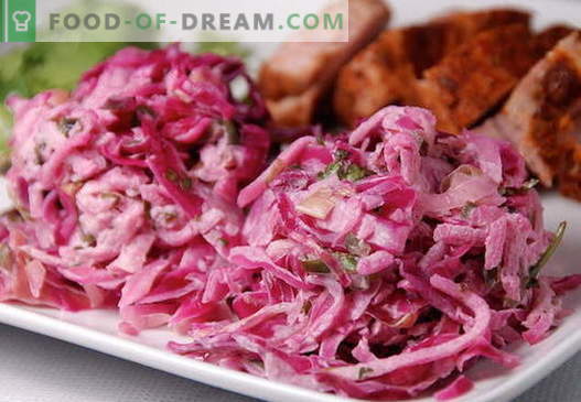 Red Cabbage Salad - parimad retseptid. Kuidas õigesti ja maitsvalt valmistada punase kapsa salatit.