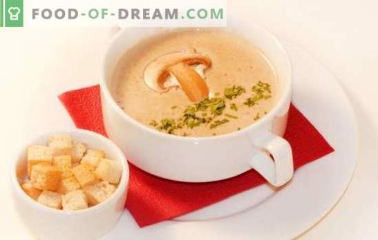 Пюре от гъбена супа - деликатна версия на любимото ви ястие. Най-добрите рецепти на гъбена сметана: сметана, сирене, ориз, ракия, скариди
