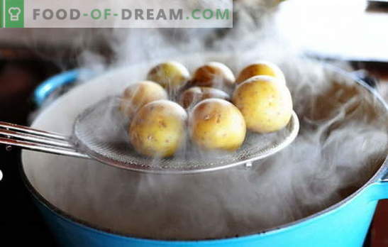 Kuidas valmistada kartuleid? Otsid valmisolekut! Kuidas valmistada kartulit vormiriietuses, vees, piimas, ahjus, mikrolaineahjus