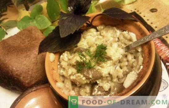 Perli pottides - maitsev, mitte sõna! Köögiviljades, seentes ja piimas sisalduvad liha sisaldavad odra retseptid