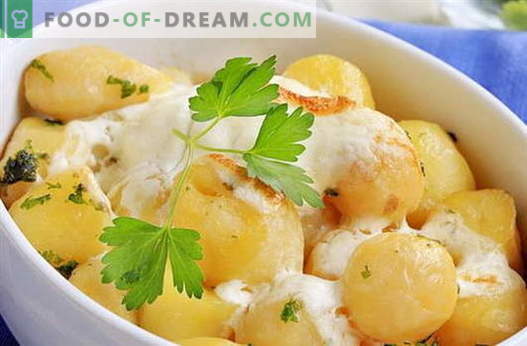 Kartul hapukoores - parimad retseptid. Kuidas õigesti ja maitsvaid küpsetada kartuleid hapukoores.