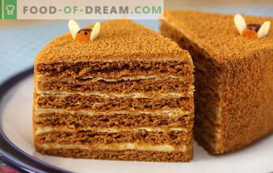 Honey Custard - õrn! Lihtne ja keeruline, kondenspiima ja hapukoorega: honeycake'i retseptid pudriga