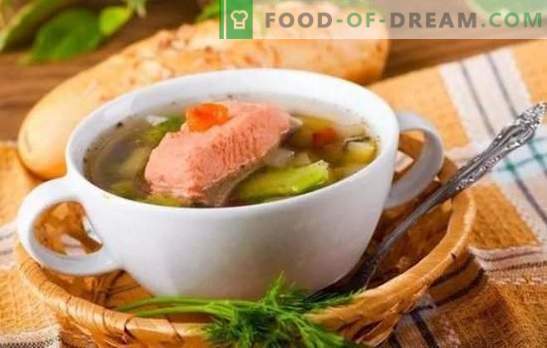 Forelli kala supp: keha kasu ja laitmatu maitse samal plaadil. Parimad retseptid forelli suppi
