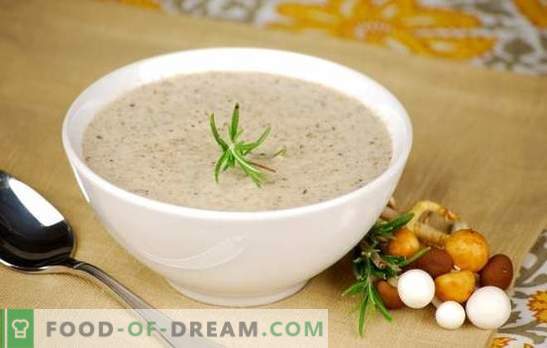 Sopa de crema de champiñones - recetas populares. Cómo hacer sopa de crema de champiñones en una olla de cocción lenta, con crema o con queso