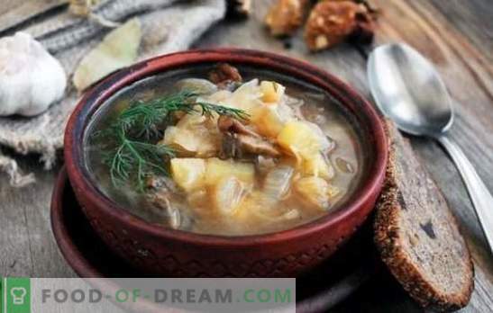 Hapukapsasupp seentega: traditsiooniline ja originaalne. Salatid kapsasupp seentega, tatar, oad, pärl-oder