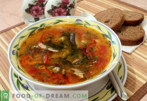 Tomati kilu supid - tõestatud retseptid. Kuidas korralikult ja maitsvalt küpsetada tomati kilu suppi.