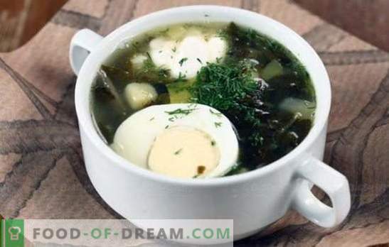 Roheline supp - vitamiinilaeng ja särav maitse! Roheliste suppide retseptid hapu ja kapsa, seente, kala, nokkade, oadega