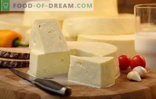 Как бързо да се готви сулугуни у дома: рецептата за младо бяло сирене. Готвене на нежно сирене сулугуни у дома