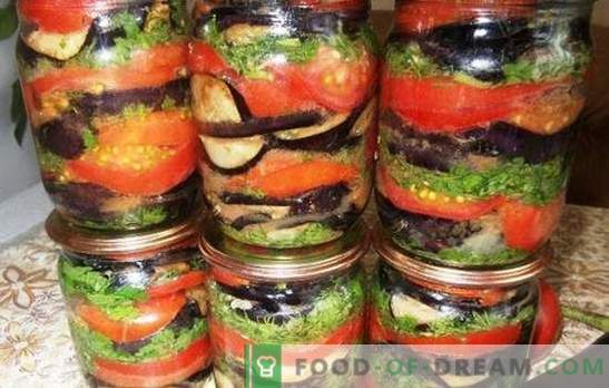 Baklažaan tomatitega talveks - hoida suvel maitse ja kasu! Retseptid baklažaanide ja tomati eelroogade jaoks talveks
