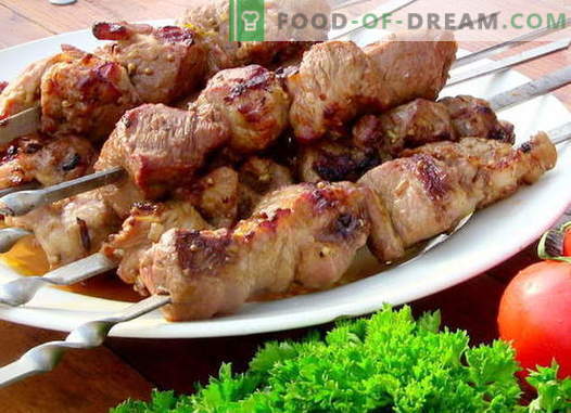 Beef Kebab - parimad retseptid. Kuidas õigesti ja maitsev kokk veiseliha kebabi.
