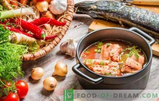 Punase kala supp - suurepärane maitse ja maksimaalne kasu. Valik punase kala supi parimaid retsepte hirsi, tomatite, punase kaaviariga