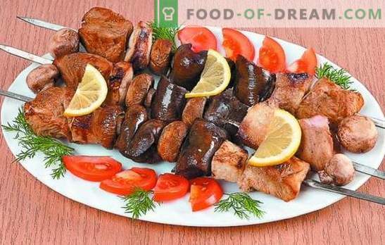 Türgi kebab: õrna liha retseptid. Kalkuni kebabide marinaadi saladused: vürtsikas, kiire, kefiir, vein
