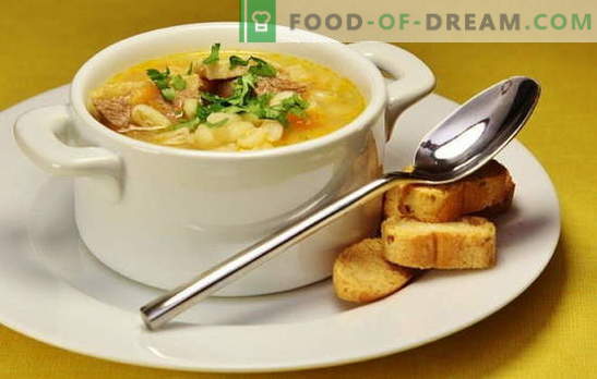 Pardi supp: köögivili, spargli, riisi, hernese, vürtsika. Retseptid maitsvatele ja rikkalikele partide suppidele, partide supp