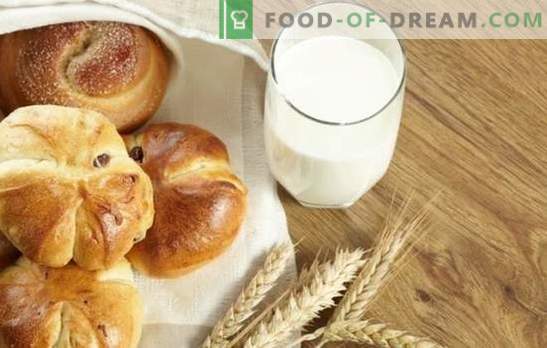 Tainas muffinitele piimaga - küpseta kodus! Retseptid kiireks, klassikaliseks, käsnitaignaks piimakottidele
