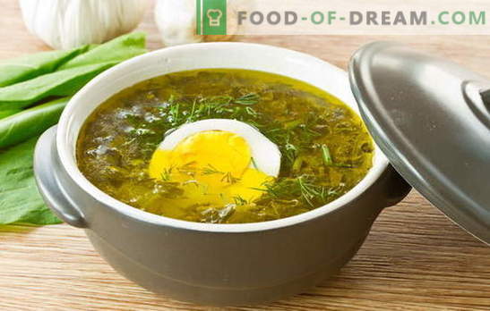 Helvese supp - suvine meeleoluhind! Retseptid oksaal supp muna, lihapallid, riis, kana, hautatud
