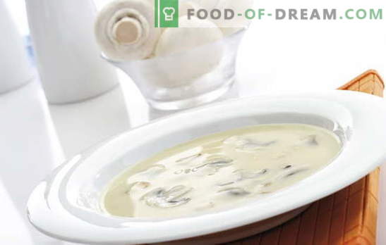 Champignoni koore supp on raske, kuid taskukohane tassi igale maitsele. Champignoni koore supp aluse erinevate variatsioonidega