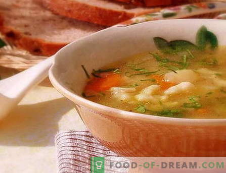 Dumpling supp - parimad retseptid. Kuidas korralikult ja maitsvaid küpsetada supi pelmeenidega.