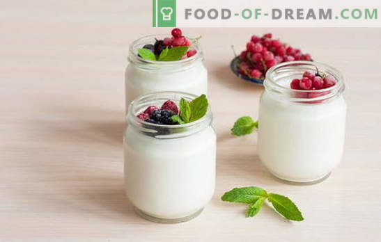 Kuidas teha kodus jogurtit: tehnoloogia. Jogurtiretseptid kodus: jogurtitootjas, termos, kastrulis