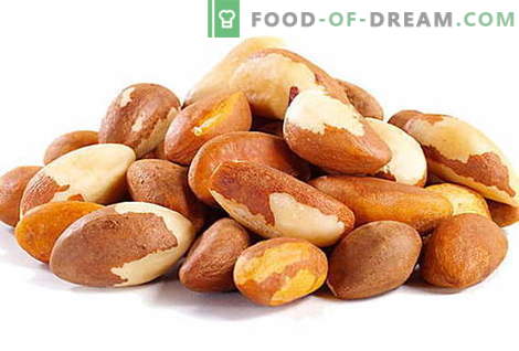 Brasiilia pähkel - kirjeldus, kasulikud omadused, kasutamine toiduvalmistamisel. Retseptid Brasiilia pähklitega.